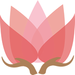 开云·kaiyun(全站)体育官方网站/网页版 登录入口